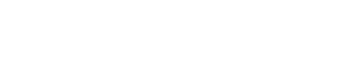 velocity logo with text